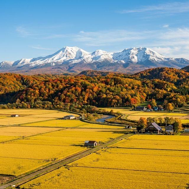 愛別町の風景