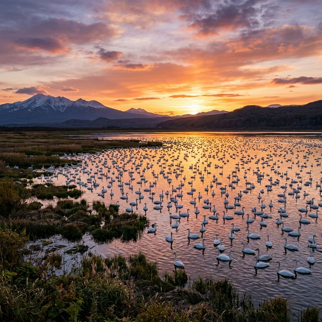 浜頓別町の風景