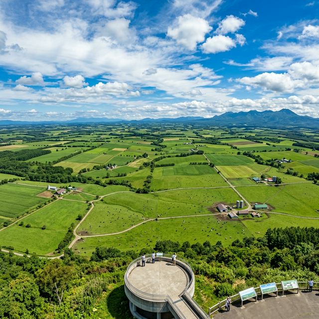 中標津町の風景