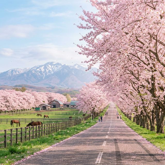新ひだか町の風景
